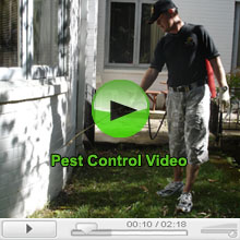 Pest Control Treatment Video