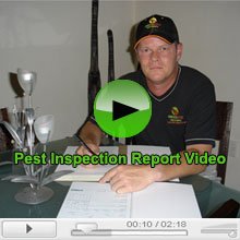 Termite Inspection Report Video