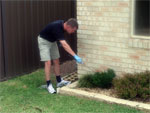 External termite inspections (Click to enlarge)