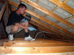 Roof void termite inspection (Click to enlarge)